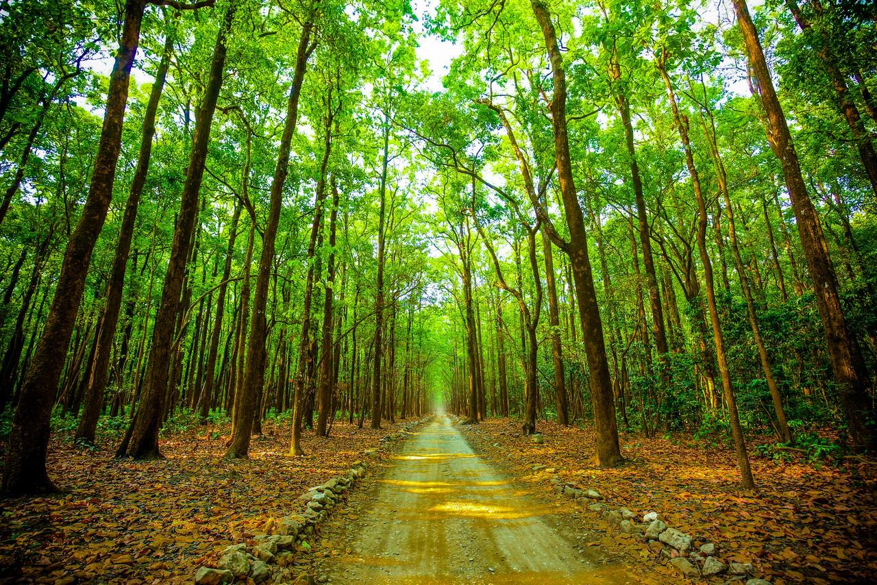 Sitabani Jungle And Spa Resort Rāmnagar Buitenkant foto